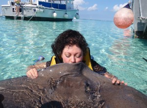 Phoenix Kisses A Stingray, Achieve Your Goals, Dream Big