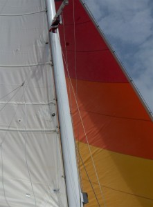 catamaran sail in the wind. Set Your Sails on Success